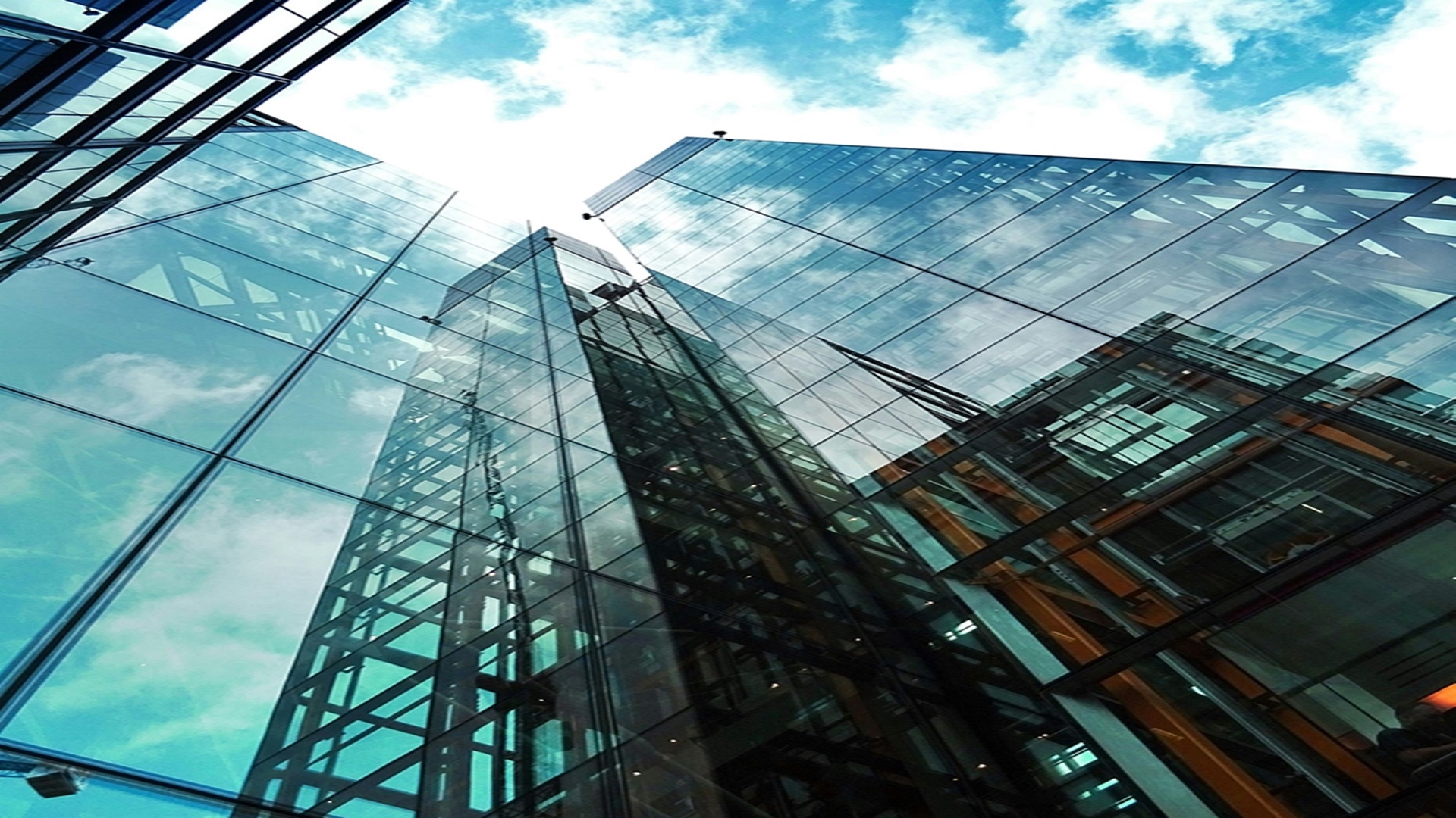 웨이블런트 양양 위드펫