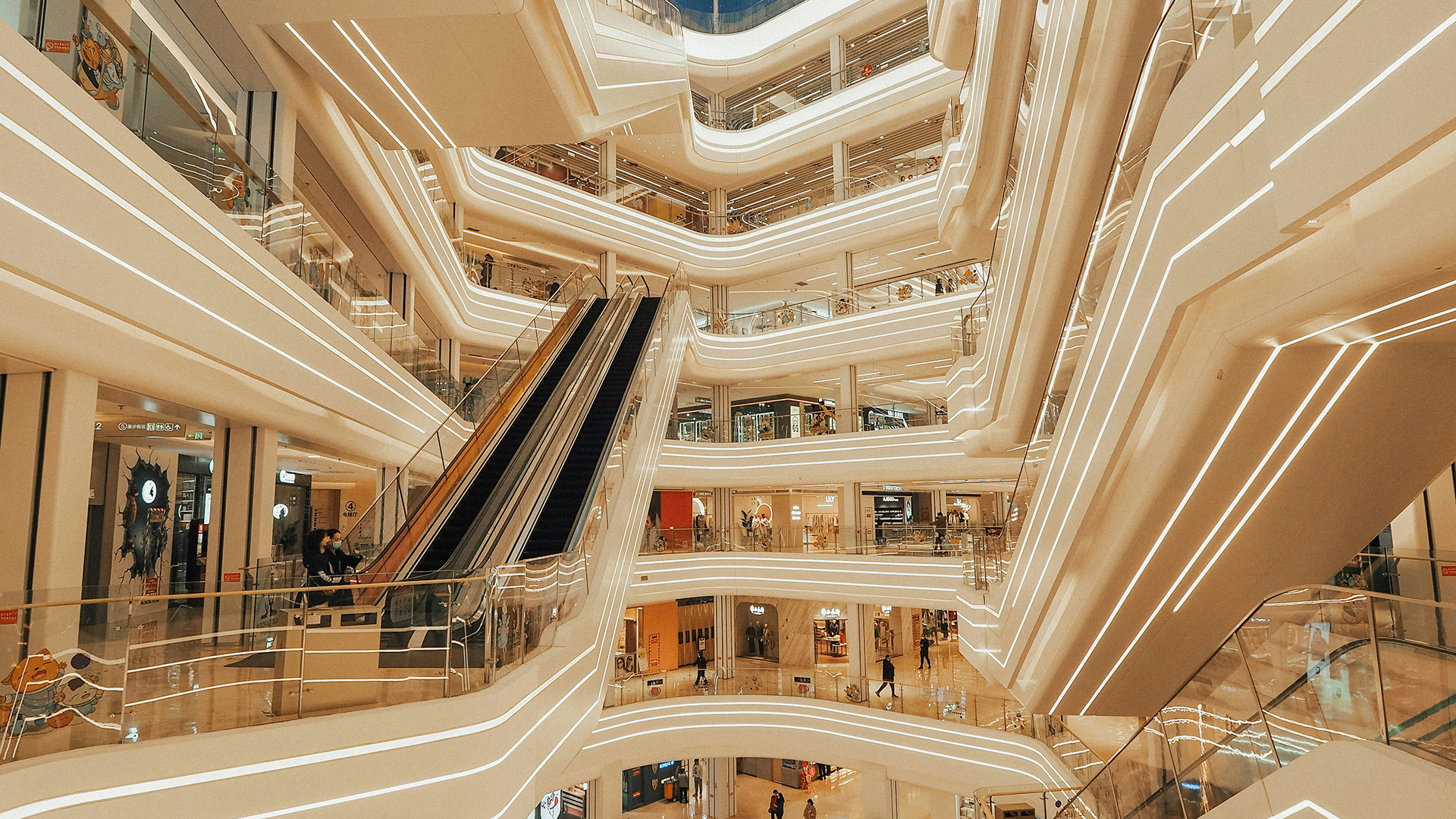 웨이블런트 양양 위드펫